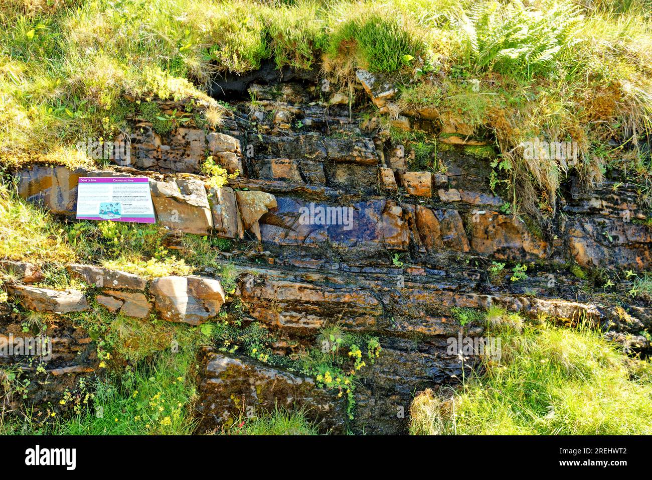 Knockan Crag West Highlands Geopark Scozia estate un letto fucoide limo e fango dal mare deposto 525 milioni di anni fa Foto Stock