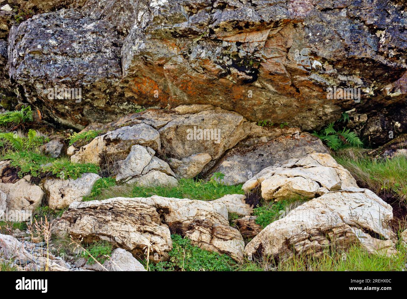 Knockan Crag West Highlands Geopark Scozia rocce estive alla faglia di spinta Moine Foto Stock