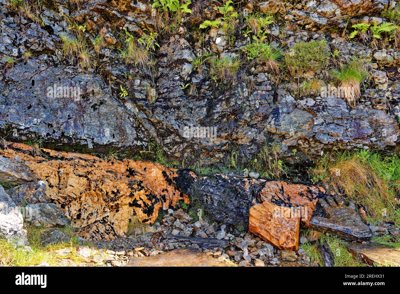 Knockan Crag West Highlands Geopark Scozia estate i diversi colori delle rocce della Moine Thrust Foto Stock