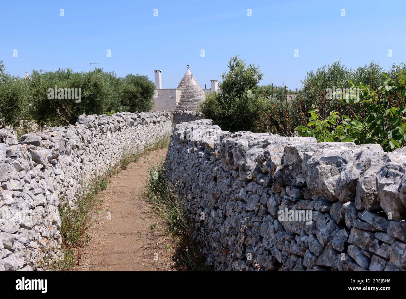 Locorotondo, Italia. 10 luglio 2023. Una foto della Valle d'Itria vicino a Locorotondo, Puglia, Italia, il 10 luglio 2023. Secondo un recente articolo del Guardian, la Valle d'Itria, un'ampia valle agricola nei pressi di Bari ricca di vigneti e ulivi, è uno dei luoghi più segreti d'Italia. (Foto di Elisa Gestri/Sipa USA) credito: SIPA USA/Alamy Live News Foto Stock