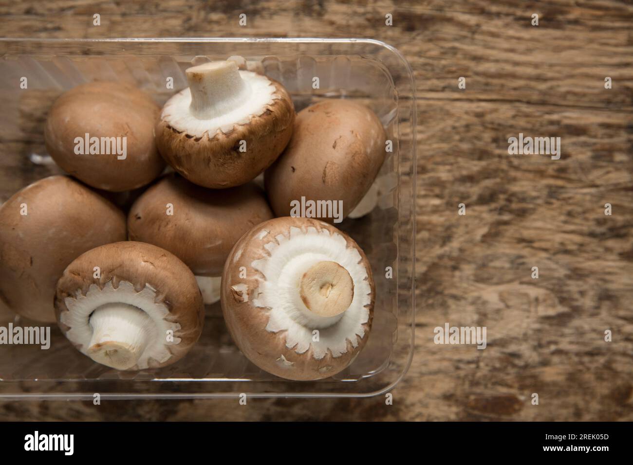 Funghi di castagno, coltivati in Polonia e importati nel Regno Unito. Foto Stock