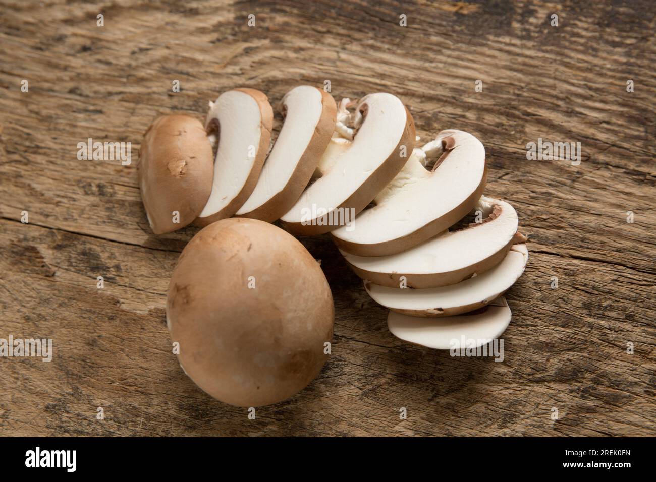 Funghi di castagno, coltivati in Polonia e importati nel Regno Unito. Foto Stock