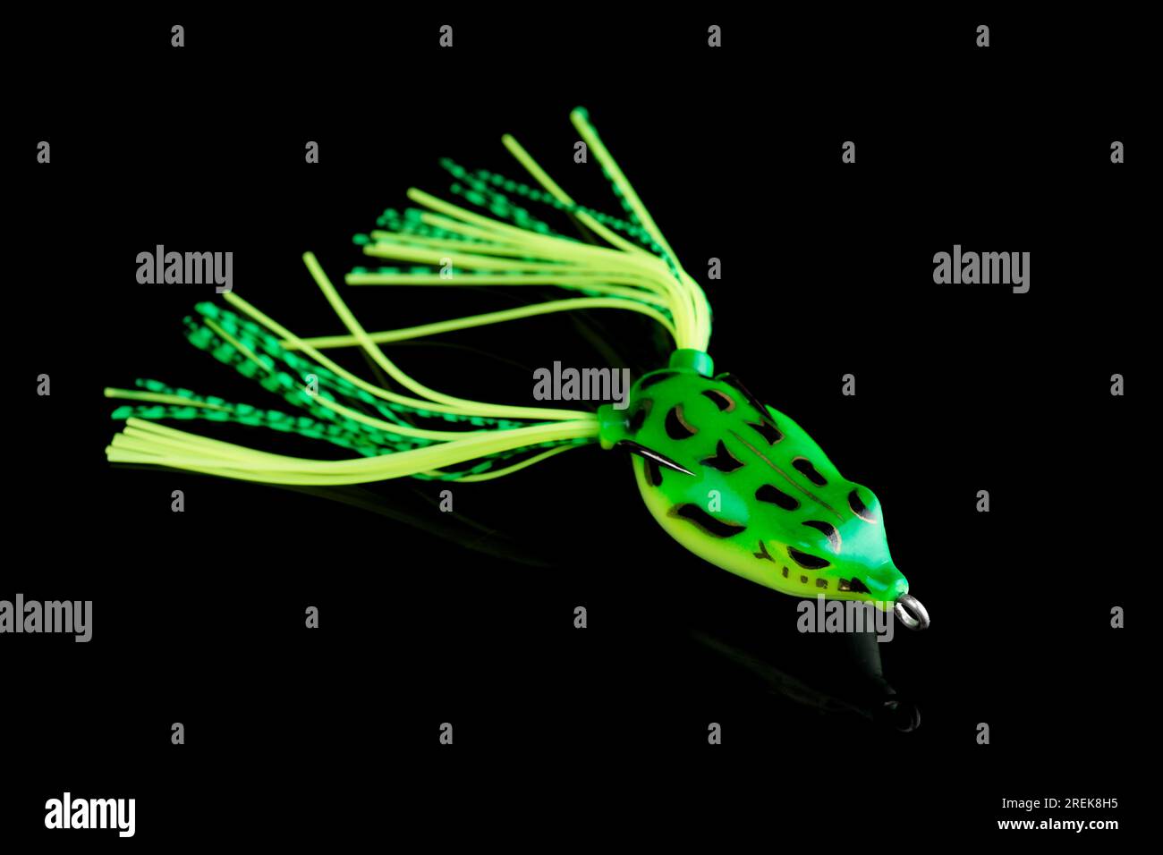 Rana in silicone - esca superiore per la pesca del luccio o del branzino a bocca larga isolata su sfondo nero Foto Stock