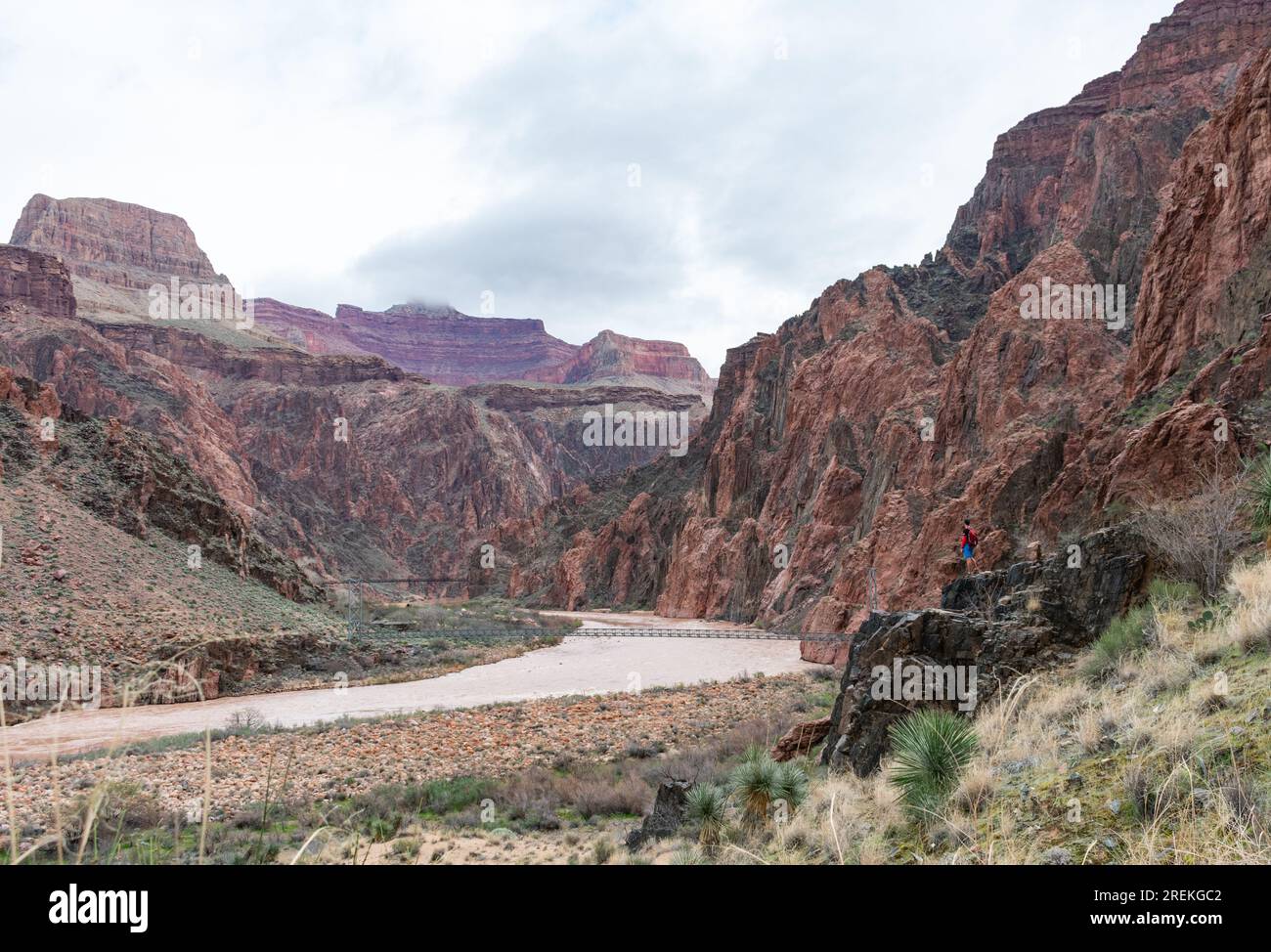 L'escursionista si affaccia sul fiume Colorado nel profondo del Grand Canyon. Foto Stock