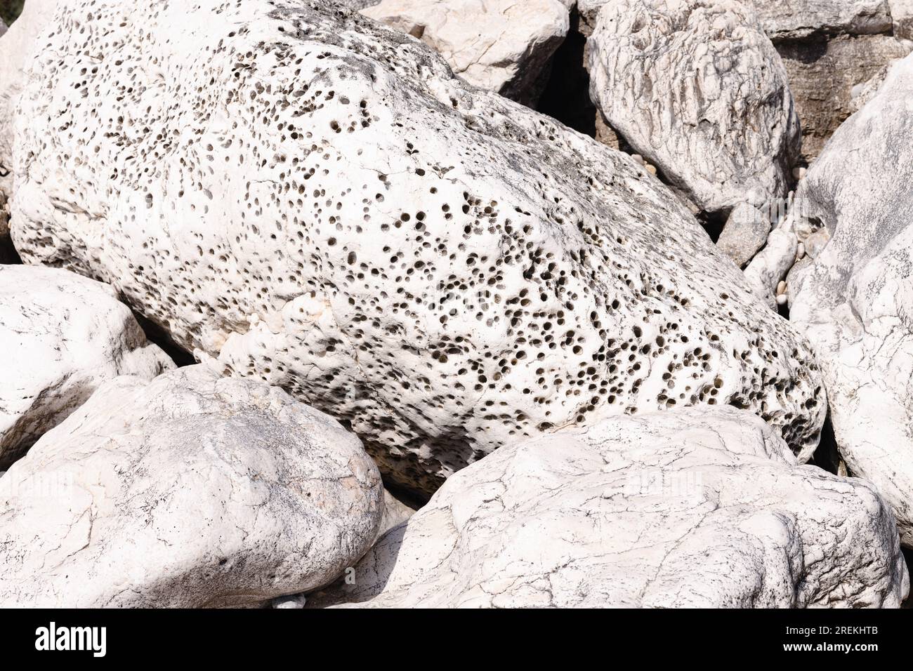 Struttura vescicolare, porosa, marmorea. Sfondo di roccia bianca vulcanica, pietre decorative con struttura corallina Foto Stock