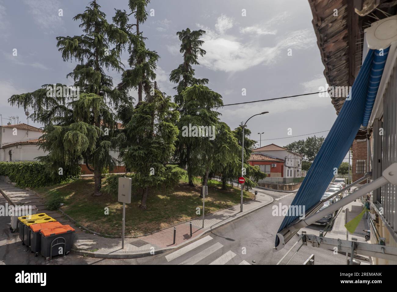 vista dalla finestra di un edificio cittadino su una strada con un parco con alcuni alberi frondosi Foto Stock