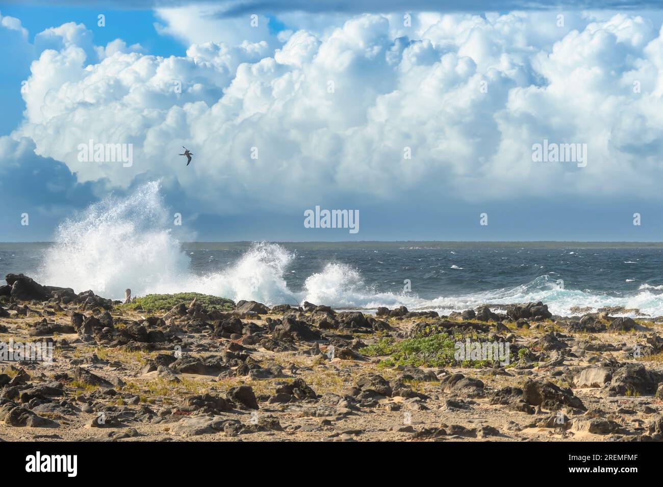 Onde sulla costa orientale di Bonaire, Paesi Bassi caraibici Foto Stock