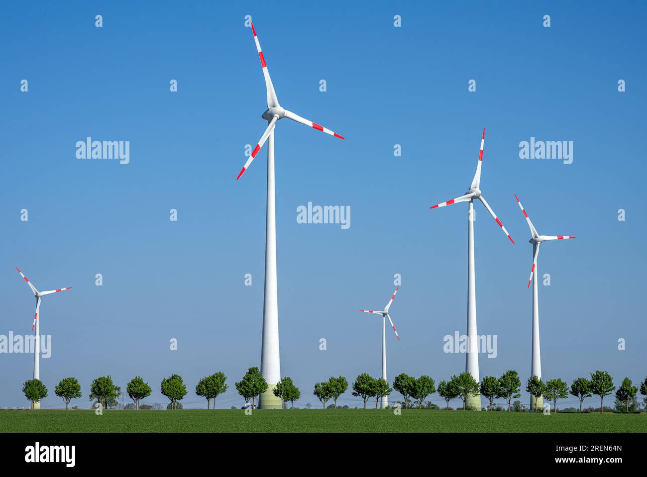 Moderne turbine eoliche con alberi visti in Germania Foto Stock
