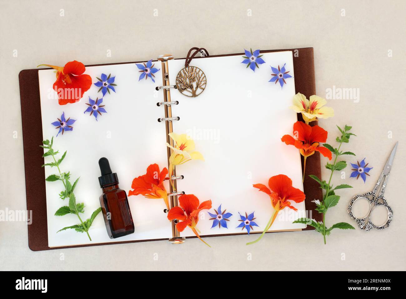 Preparazione dell'olio essenziale per il freddo e l'influenza rimedio con borragine, nasturtium e limoni balsamo erbe e fiori con vecchio taccuino di pelle. Foto Stock