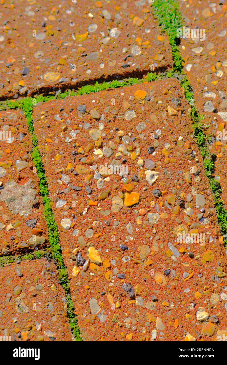 Uno sfondo verticale ravvicinato di mattoni rossi con erba verde che cresce tra loro. Foto Stock