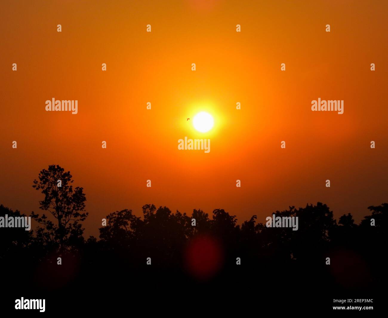 Spettacolare sole rotondo al crepuscolo filtrando attraverso le foglie degli alberi a Uttarakhand, India. Splendida vista sulla natura. Foto Stock