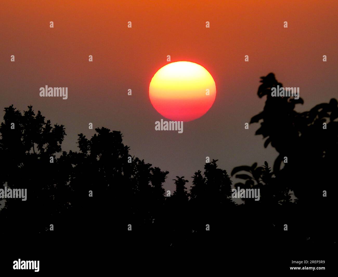 Spettacolare sole rotondo al crepuscolo filtrando attraverso le foglie degli alberi a Uttarakhand, India. Splendida vista sulla natura. Foto Stock