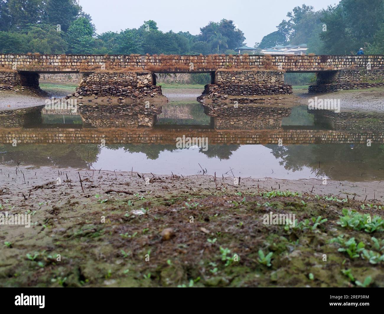 Affascinante ponte in pietra su un sereno laghetto con giardino nella città di Dehradun, India. Ambiente panoramico all'aperto Foto Stock