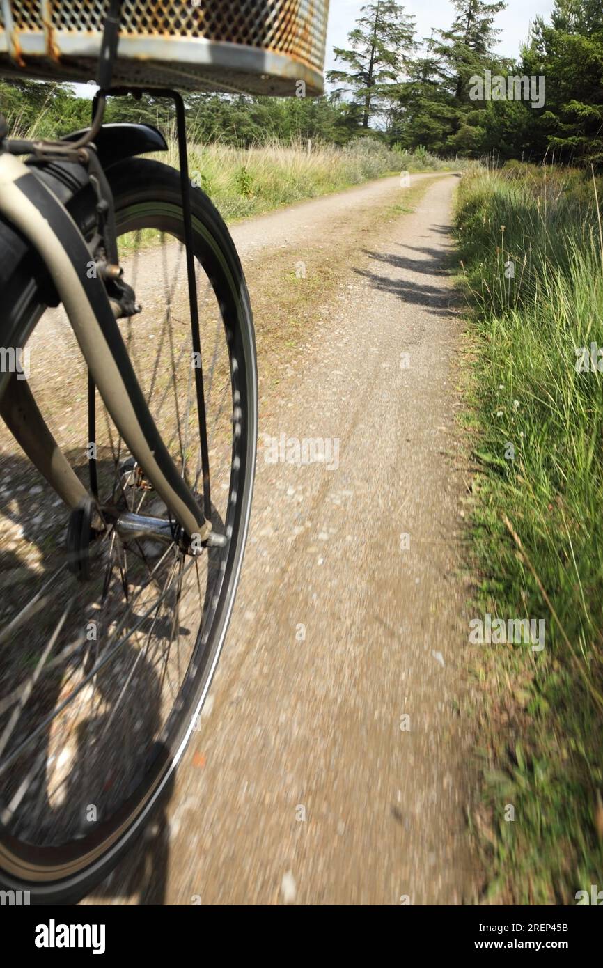 Bicicletta in movimento lungo una parte della pista ciclabile "Panoramica" di 26 km n. 404, Fanø / Isola di Fano, Danimarca. Foto Stock