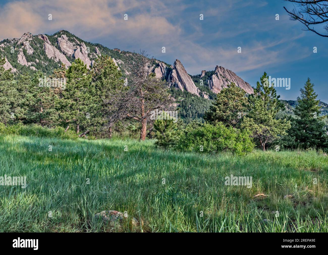 Flatirons vicino a Boulder, Colorado Foto Stock