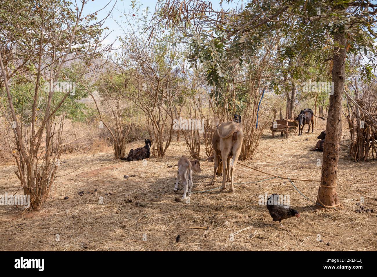 Vanga Town, la città più meridionale del Kenya. Si tratta di un insediamento costiero di pesca che rimane intatto dal turismo. La città stessa è solo accessibile Foto Stock