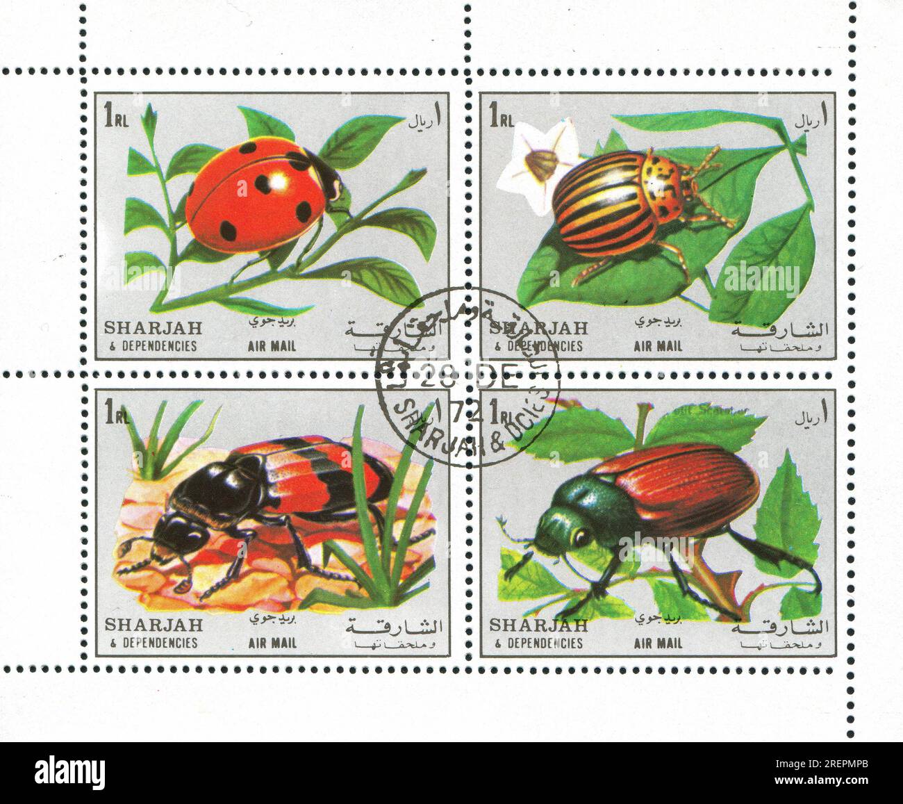 SHARJAH AND DEPENDENCIES - CIRCA 1972: Timbro stampato da Sharjah and Dependencies, shows entomology, circa 1972 Foto Stock