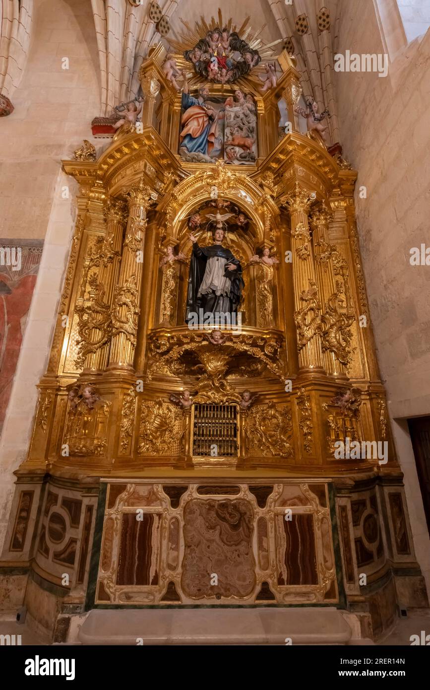 La Cappella di San Juan de Sahagun nella Cattedrale di Santa Maria di Burgos. È dedicato alla Vergine Maria. Provincia di Burgos, Commun autonomo Foto Stock
