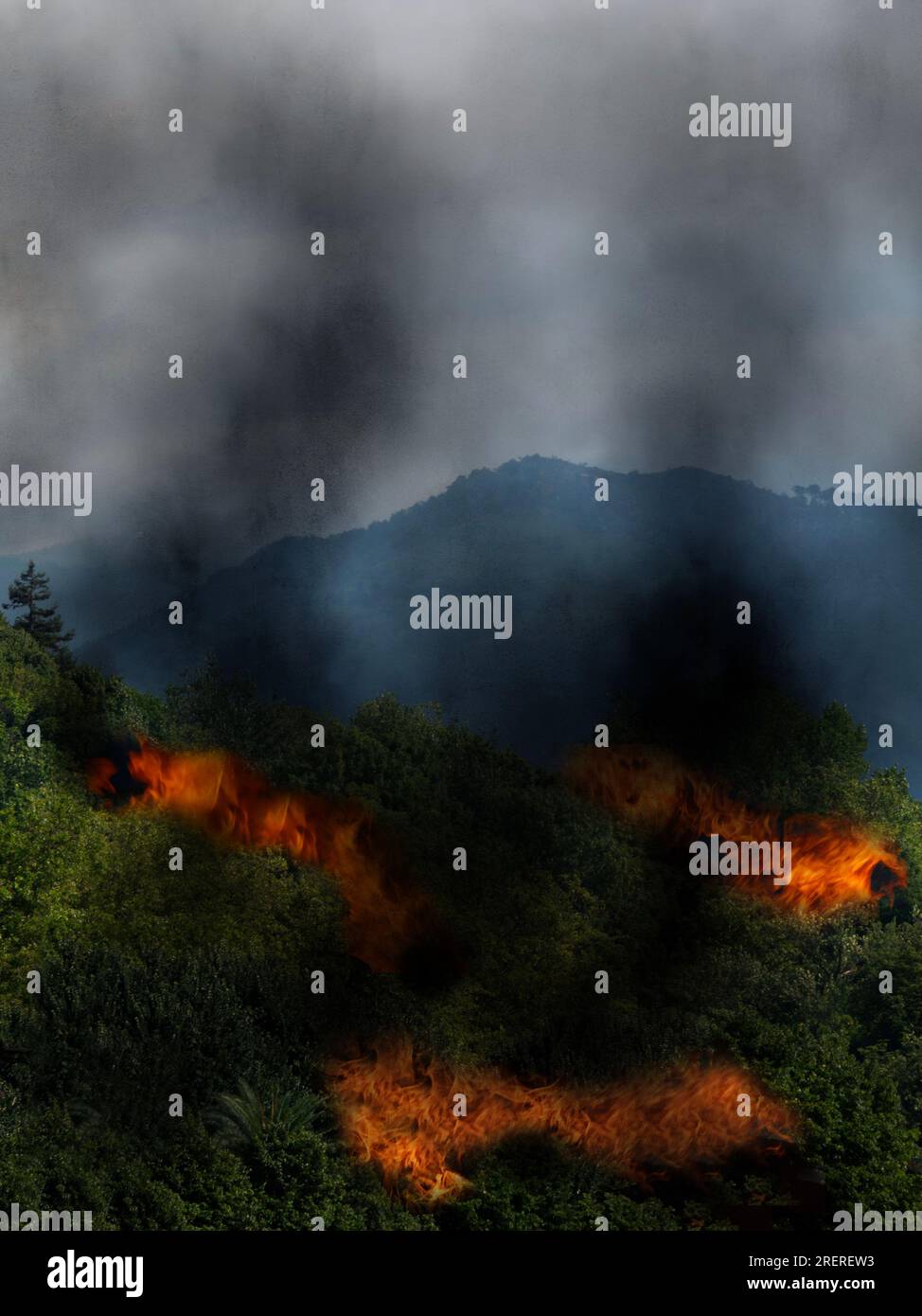 Wildfire in legno con le colline in lontananza. Inquinamento da fuoco e fumo. Foto Stock
