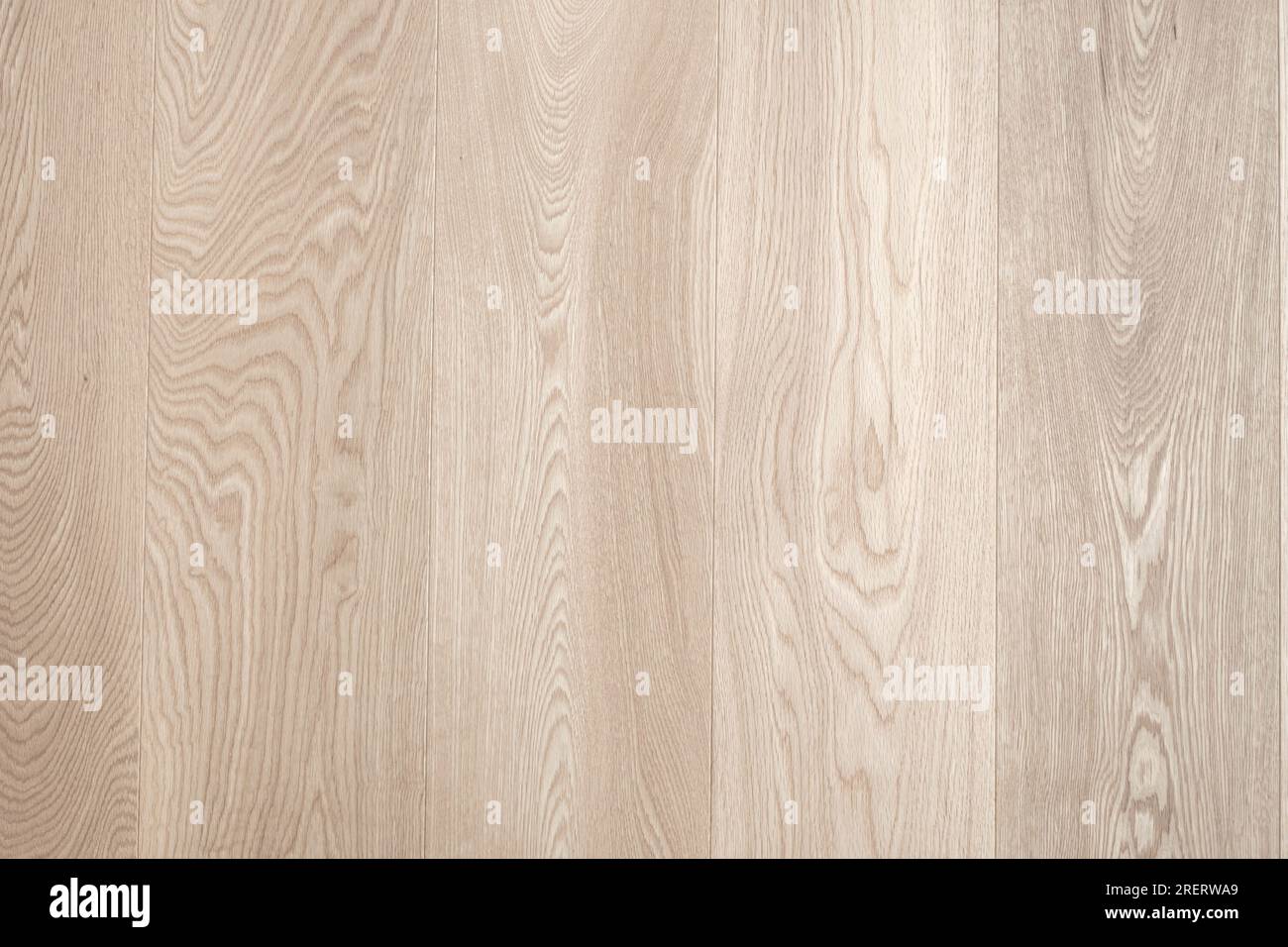 sbiancato, pavimento in parquet bianco, pavimento in legno luminoso Foto Stock