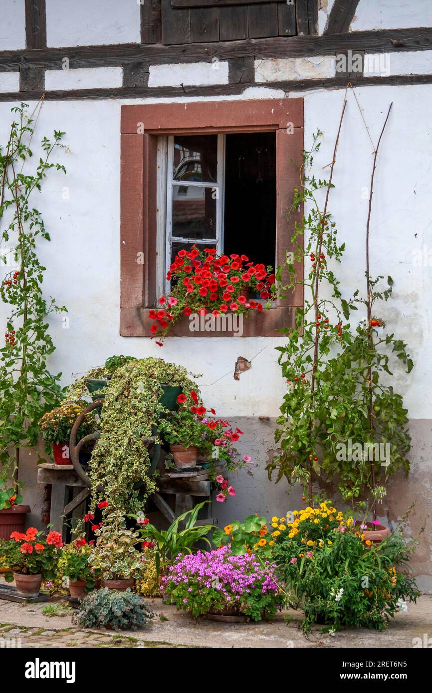 Vita di paese Foto Stock