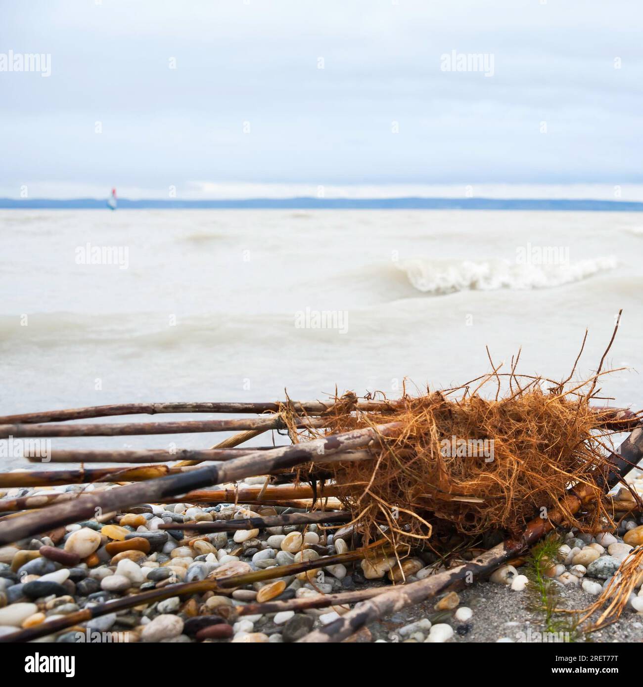 Driftwood sulla spiaggia di un lago Foto Stock