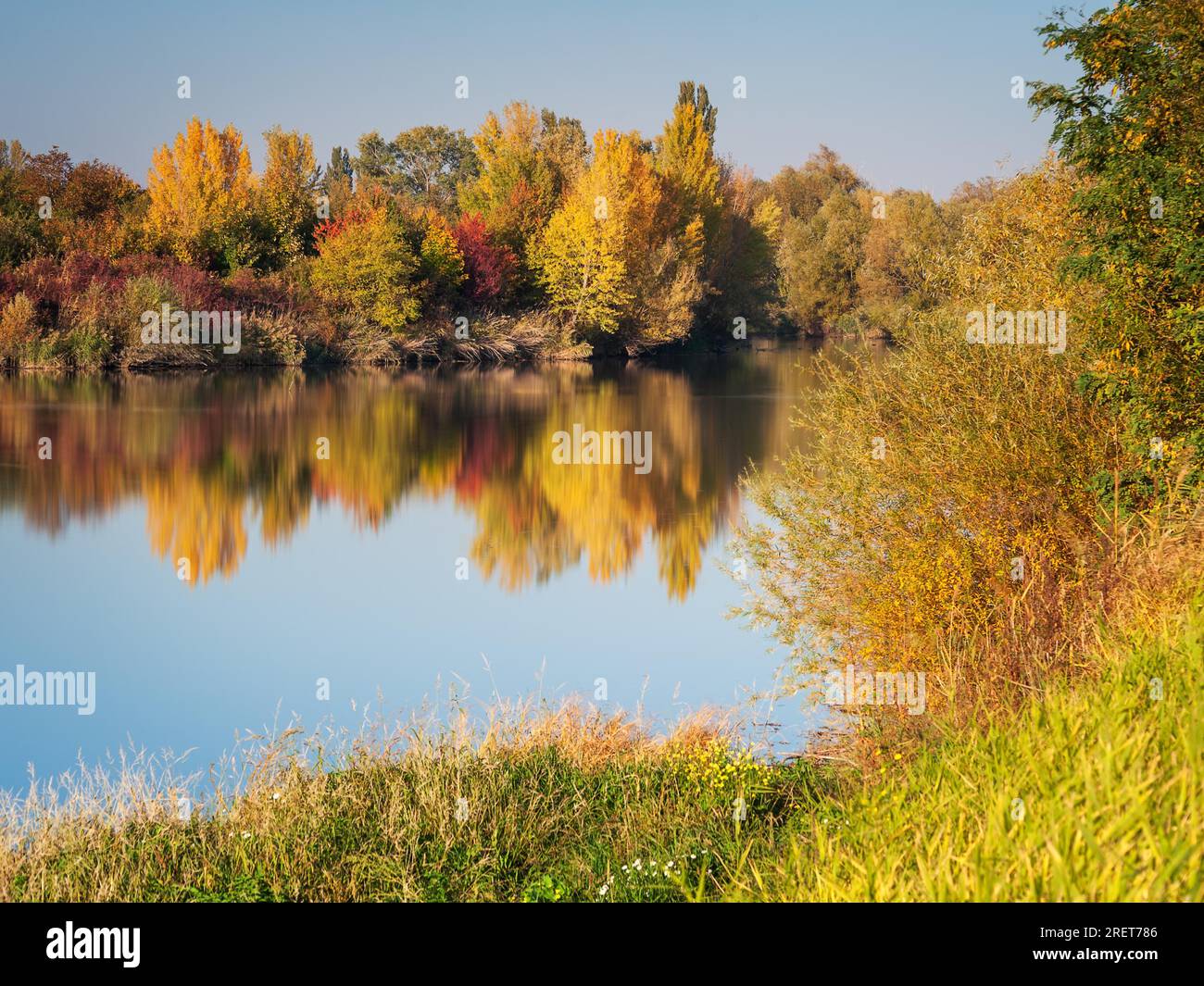 Herbstlaub am SEE Foto Stock
