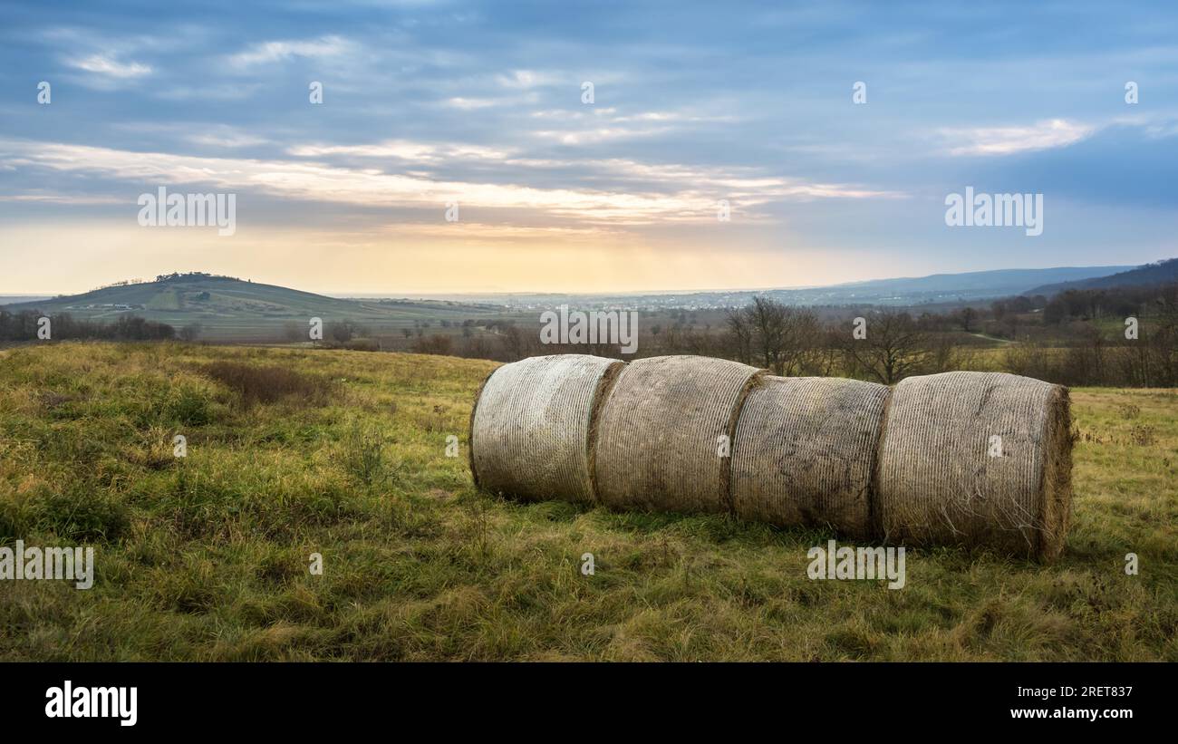 Haybales in bellissimo paesaggio autunnale in Burgenland Foto Stock