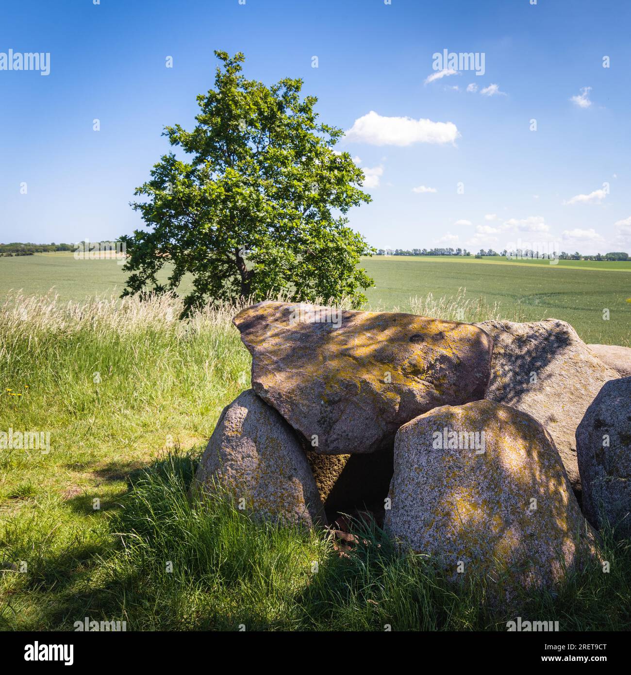 Sito preistorico dimenticato al mar baltico meclemburgo Foto Stock