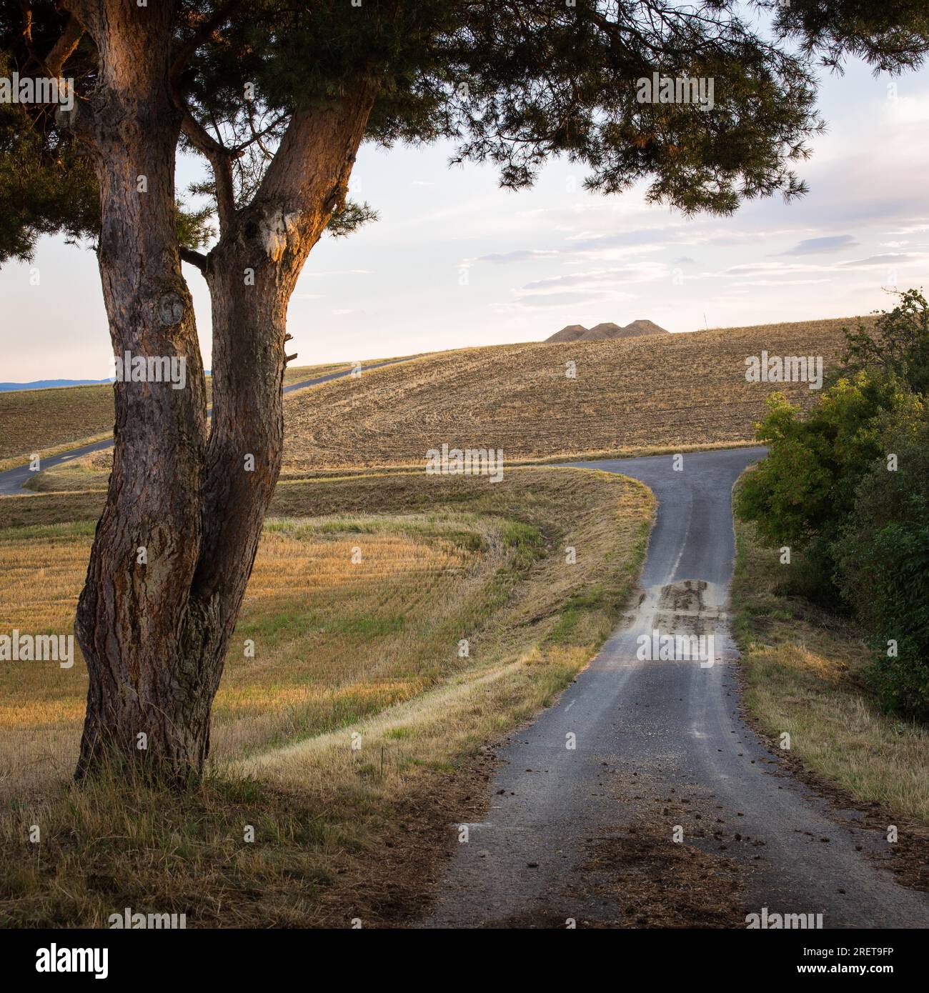 La strada di cemento che attraversa l'ambiente rurale con paesaggi naturali di foreste e campi agricoli. Esperienza su strada di campagna Foto Stock