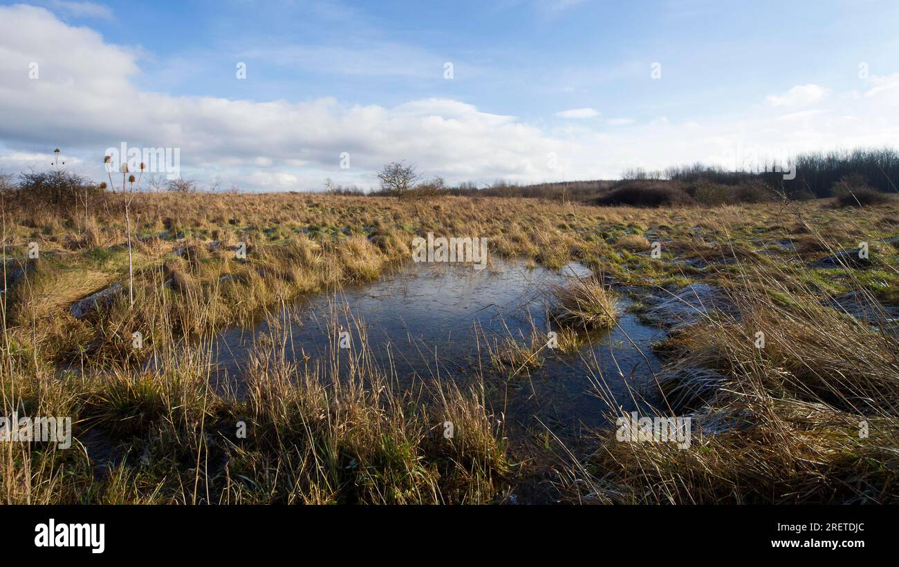 Area di successione, ex area di addestramento militare Foto Stock