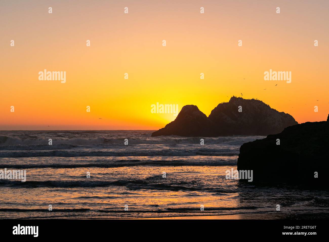 Il tramonto dorato nutre sul paesaggio marino di San Francisco. Foto Stock