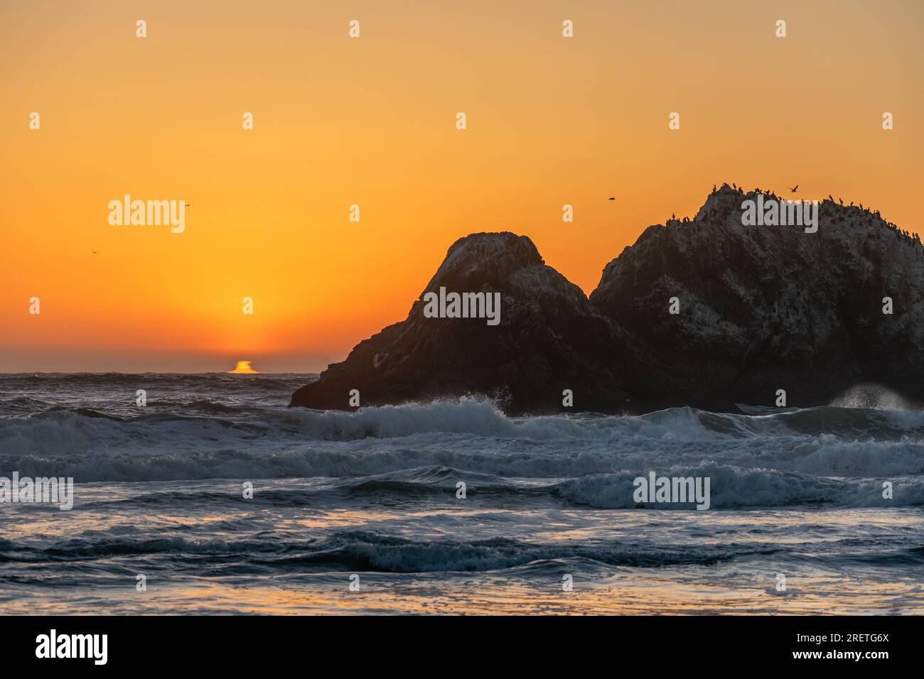 Spettacolo al tramonto con uccelli marini lungo la costa di San Francisco. Foto Stock