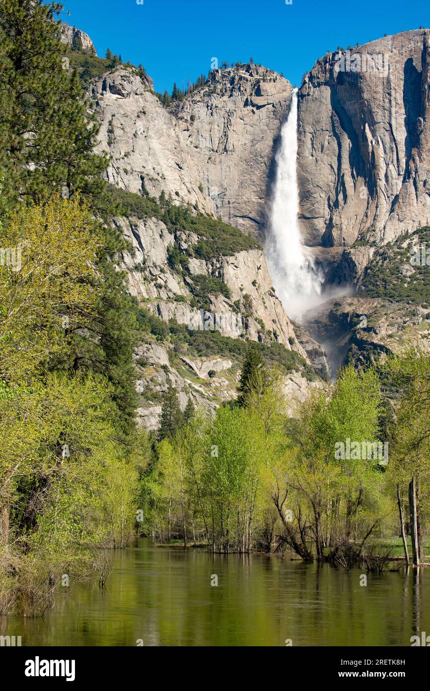 Le acque simili a specchi riflettono la torreggiante cascata di Yosemite in mezzo alle verdure primaverili. Foto Stock