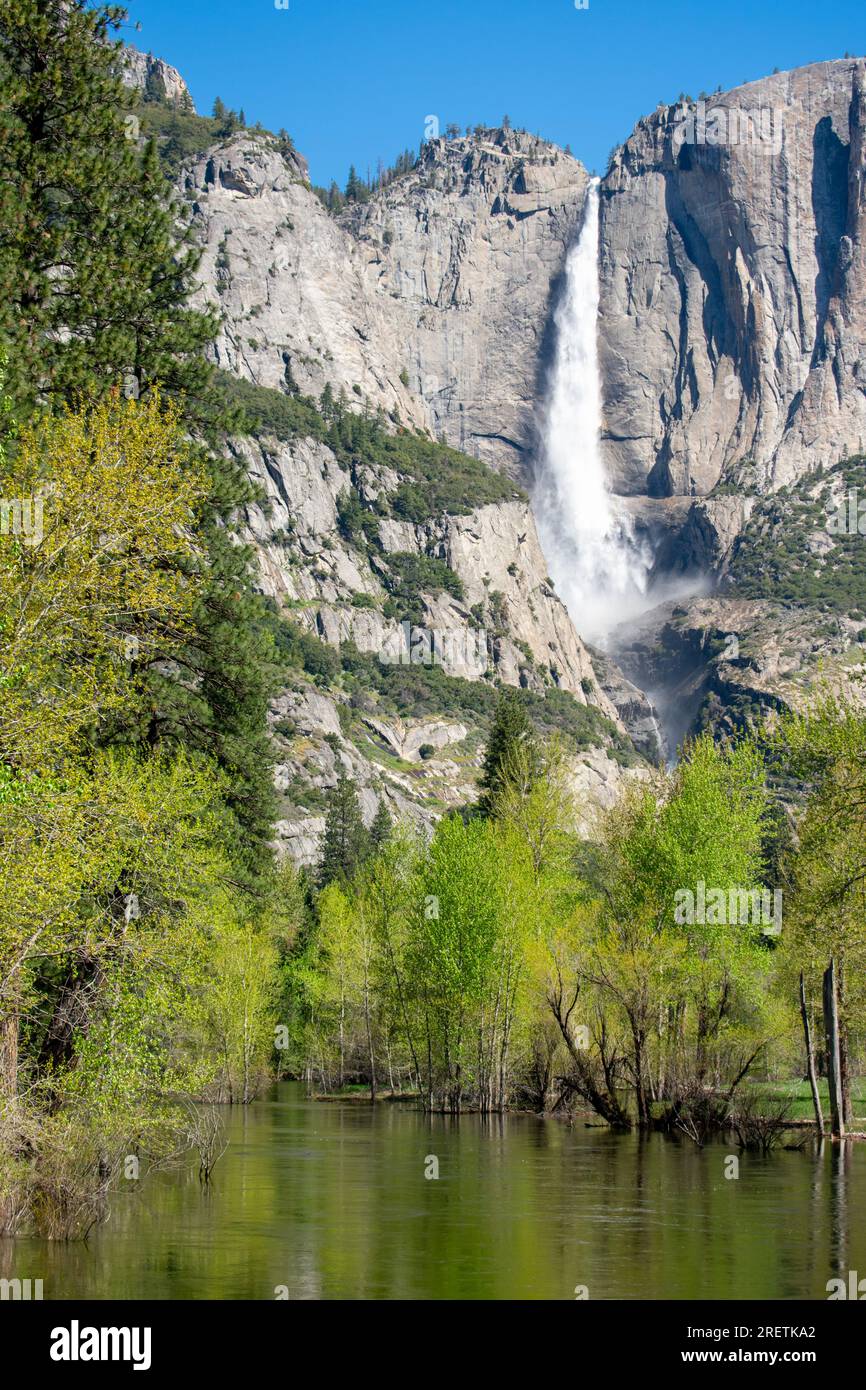 La cascata di Yosemite si tuffa in un tranquillo fiume sommerso in primavera. Foto Stock