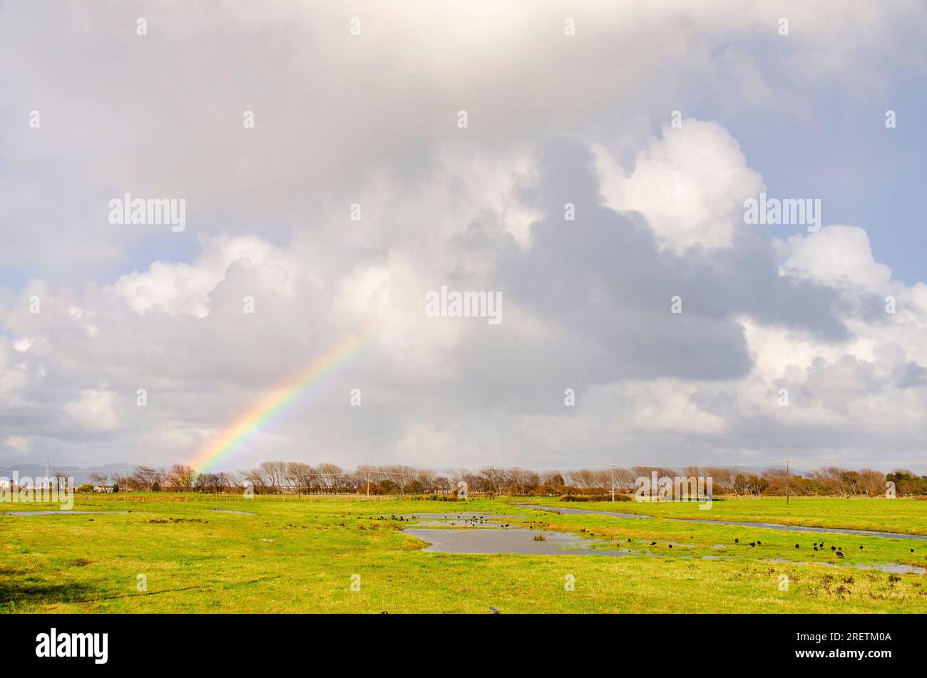 Un arcobaleno parziale all'orizzonte oltre le pianure della zona umida di Lenga a Hualpén, Cile Foto Stock