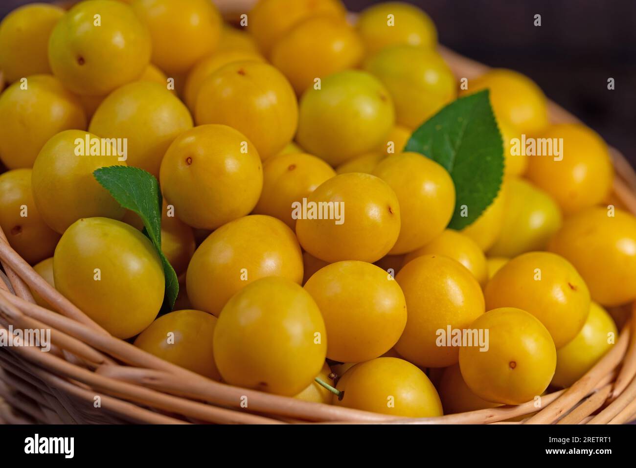 Prugne di ciliegio gialle, Prunus cerasifera, in cesto Foto Stock
