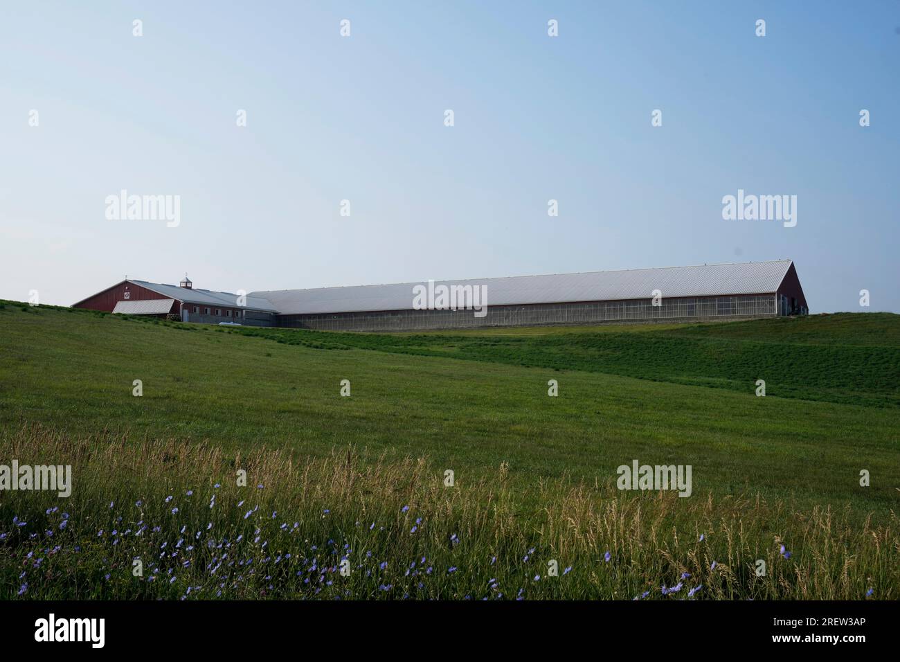 A freestall barn is seen on the Ted and Megan McAllister dairy farm