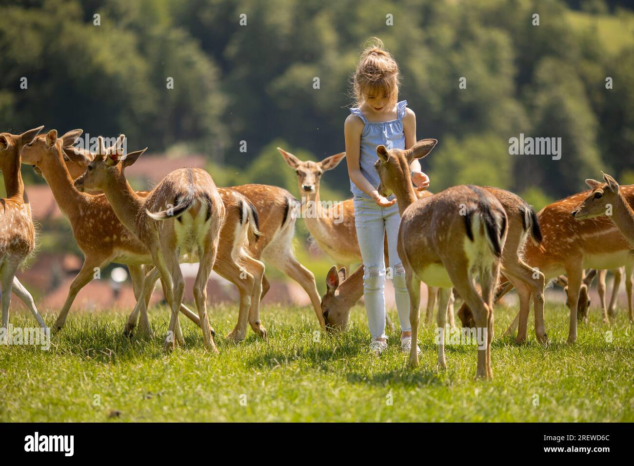 Graziosa bambina tra le mandrie di renne nella giornata di sole Foto Stock