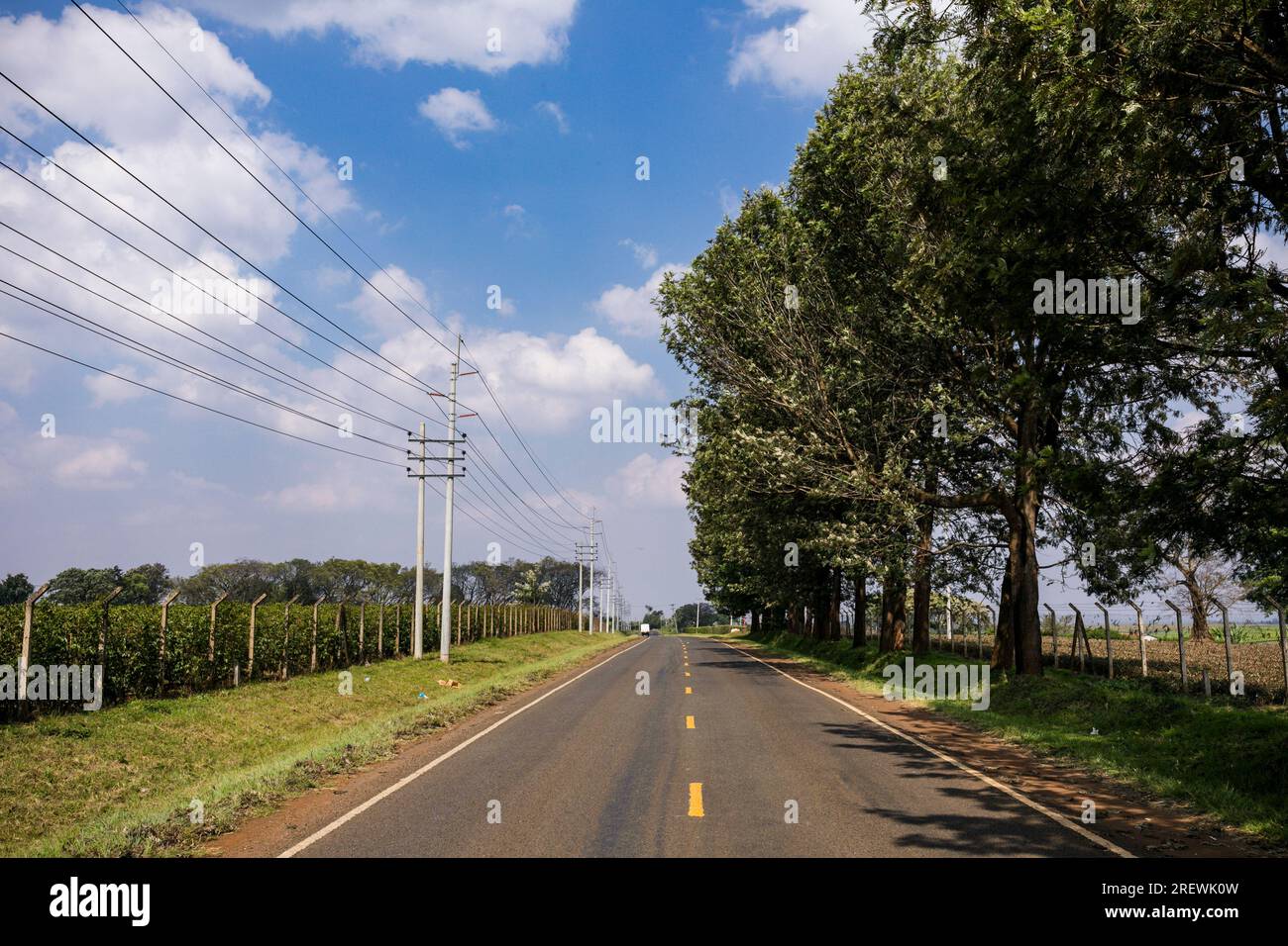 Kiambu County Limuru Central Province Thika Tea Leaves Farm Farming Kenya paesaggio su larga scala vegetazioni campi piante prati strada statale verde ep Foto Stock