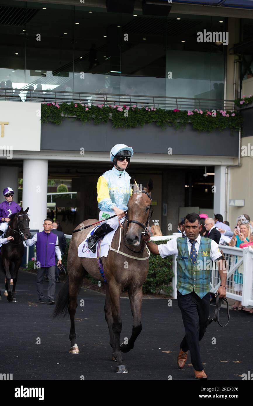 Ascot, Berkshire, Regno Unito. 29 luglio 2023. Cavallo Sacro Angelo cavalcato dal fantino Jason Hart prima di vincere il Bateaux London Princess Margaret Stakes all'ippodromo di Ascot nel QIPCO King George Day. Il proprietario Nurlan Bizakov. Allenatore Charlie Johnston, Middleham. Allevatore Yeomanstown Stud Sponsor Sumbe SAS. Credito: Maureen McLean/Alamy Live News Foto Stock