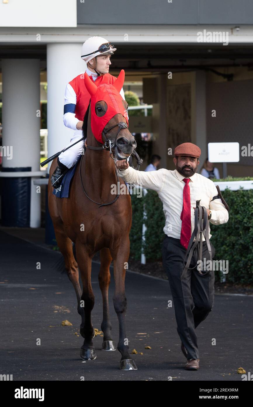 Ascot, Berkshire, Regno Unito. 29 luglio 2023. Cavallo Zenga guidato dal fantino Kevin Stott nelle Longines Valiant Stakes all'ippodromo di Ascot al QIPCO King George Day. Credito: Maureen McLean/Alamy Live News Foto Stock