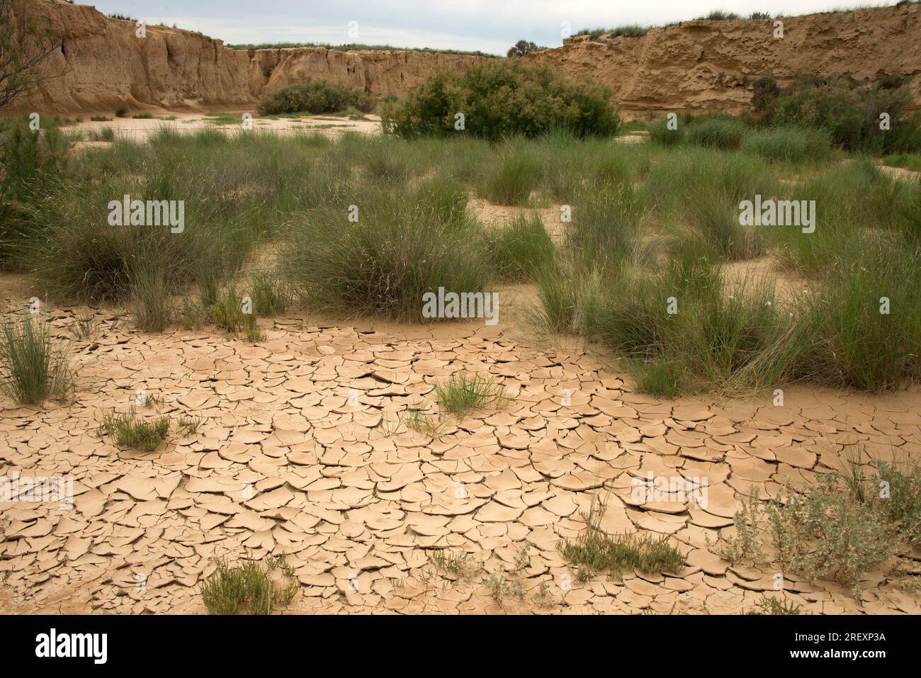 Wadi o rambla è un flusso intermittente caratteristico di climi aridi. Questa foto è stata scattata a Bardenas Reales, Navarra, Spagna. Foto Stock