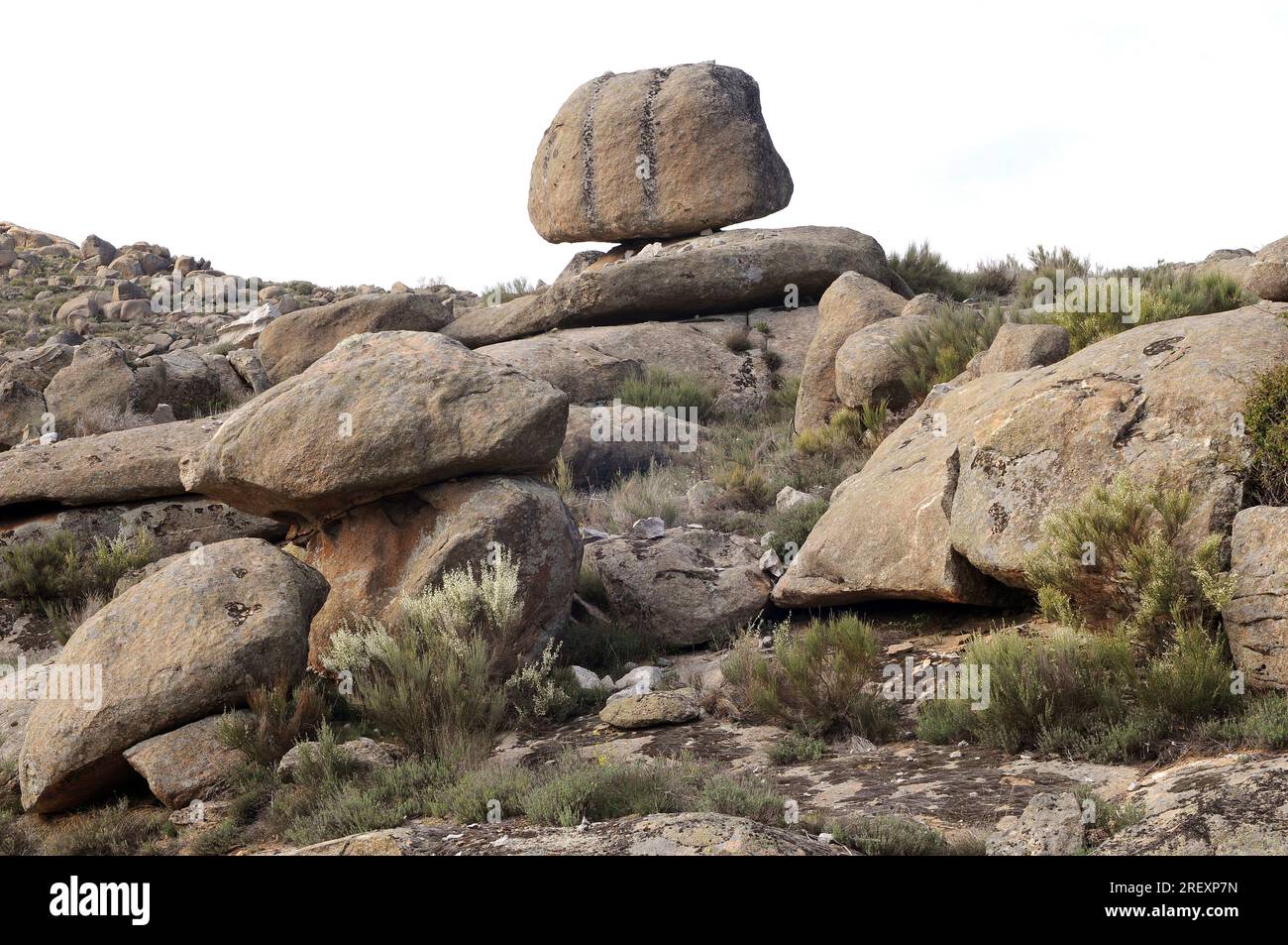 Tor, kopje o castello koppie è un affioramento roccioso indipendente che sorge dai dintorni. Questo rilievo granitico proviene da Paramera de Avila, CAS Foto Stock