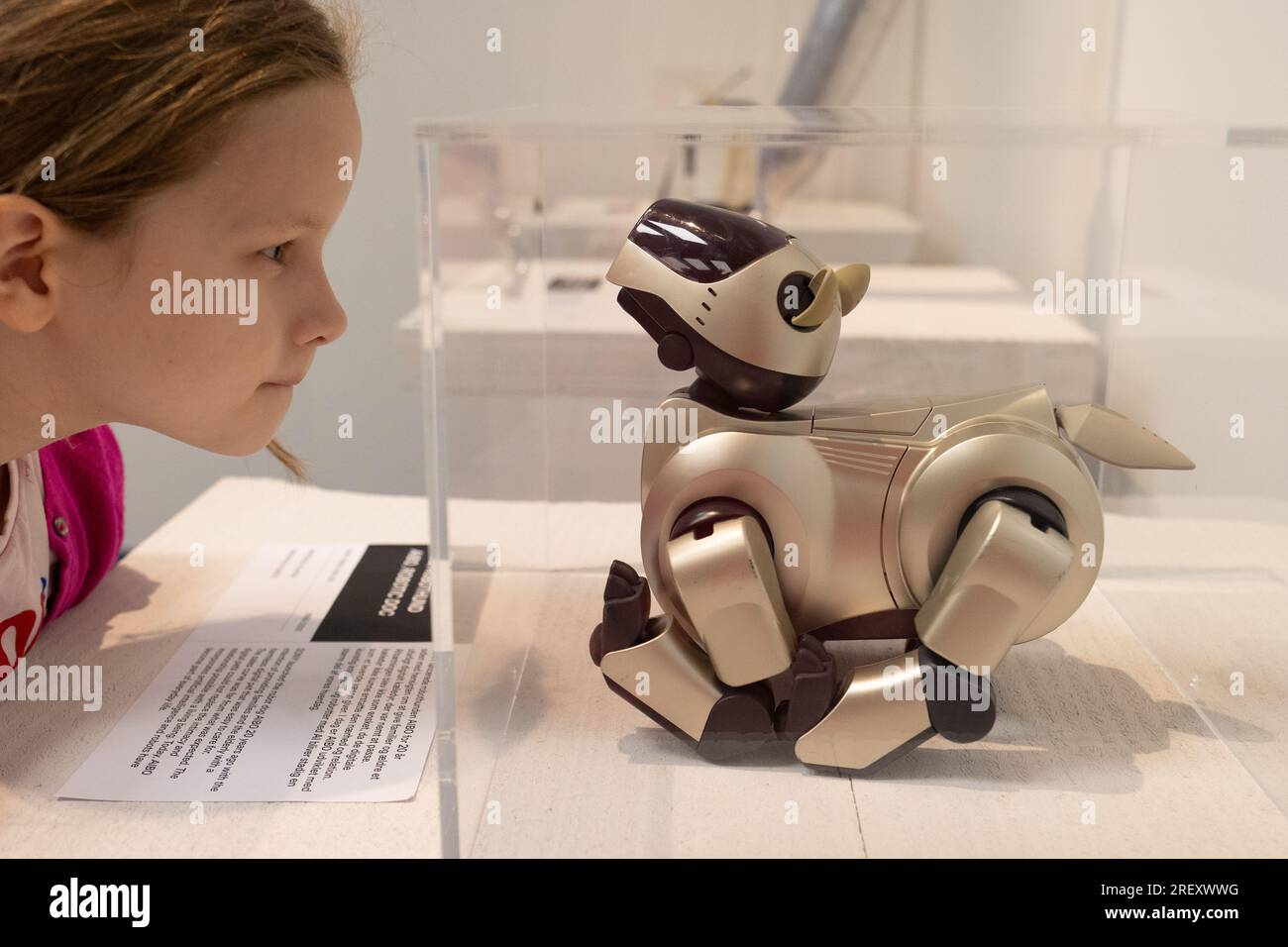 Copenhagen, Danimarca. 26 luglio 2023. Una ragazza guarda il cane robotico AIBO, progettato da Sony nel 1999/2001 e raffigurato al Designmuseum di Copenaghen, Danimarca. Crediti: Katie Collins/Alamy Foto Stock