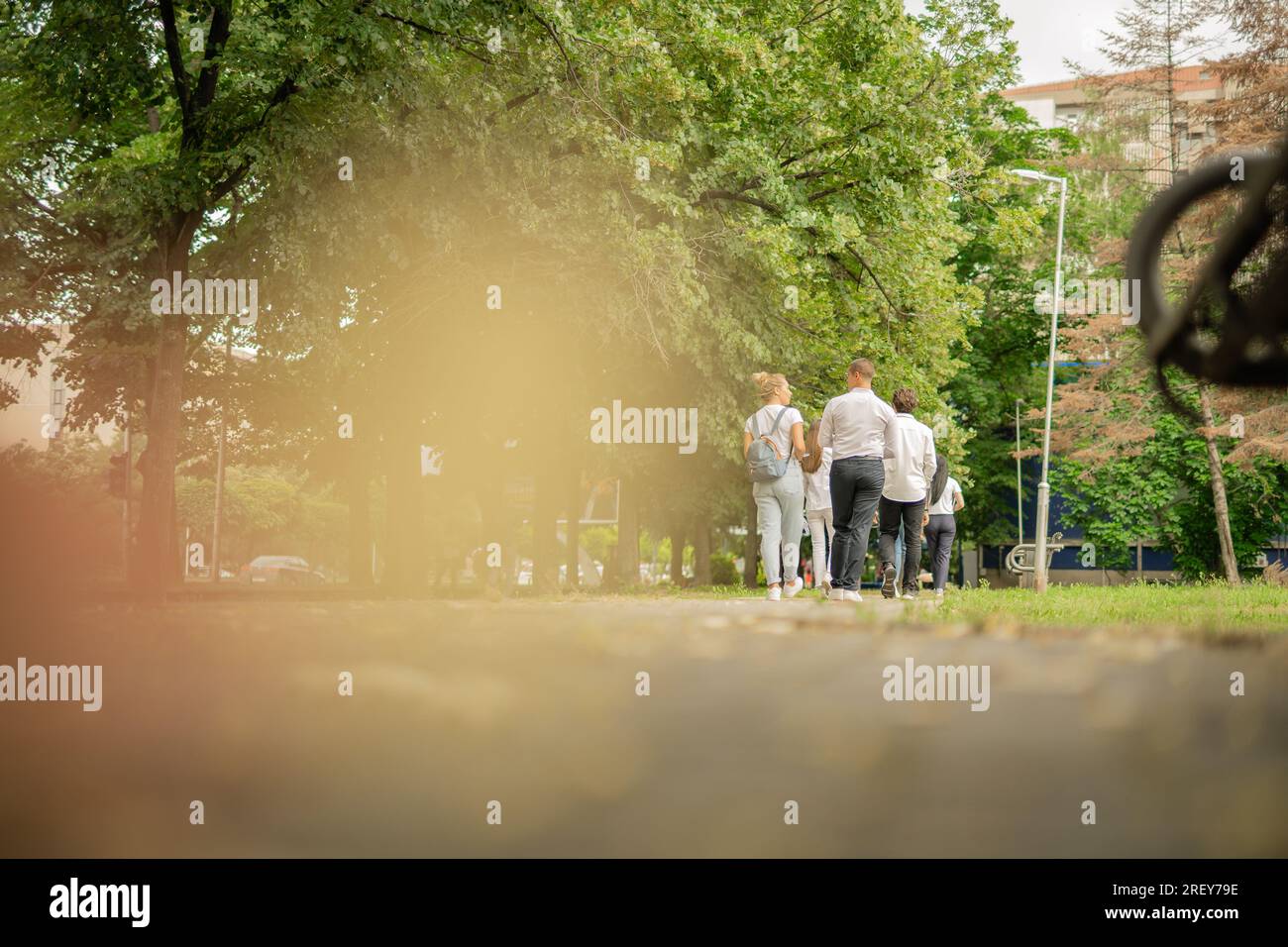 Gruppo di studenti universitari che si preparano per la loro classe e vanno alla loro facoltà, insieme, studenti delle scuole superiori, Foto Stock