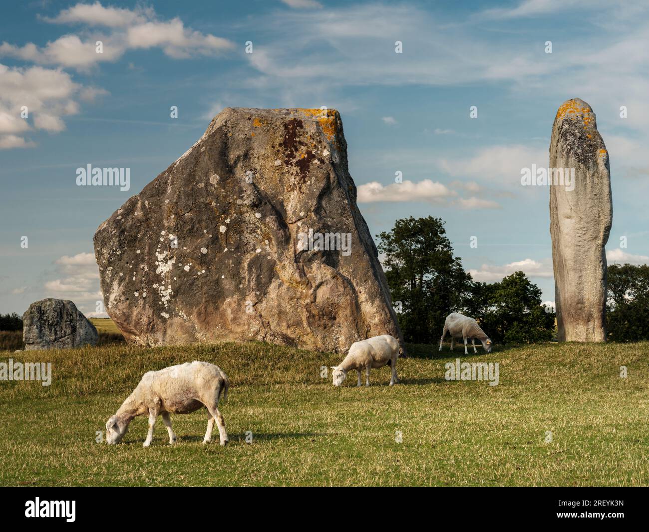 Le pecore pascolano tra le grandi pietre di Sarsen neolitiche che circondano il piccolo villaggio del Wiltshire di Avebury. Foto Stock