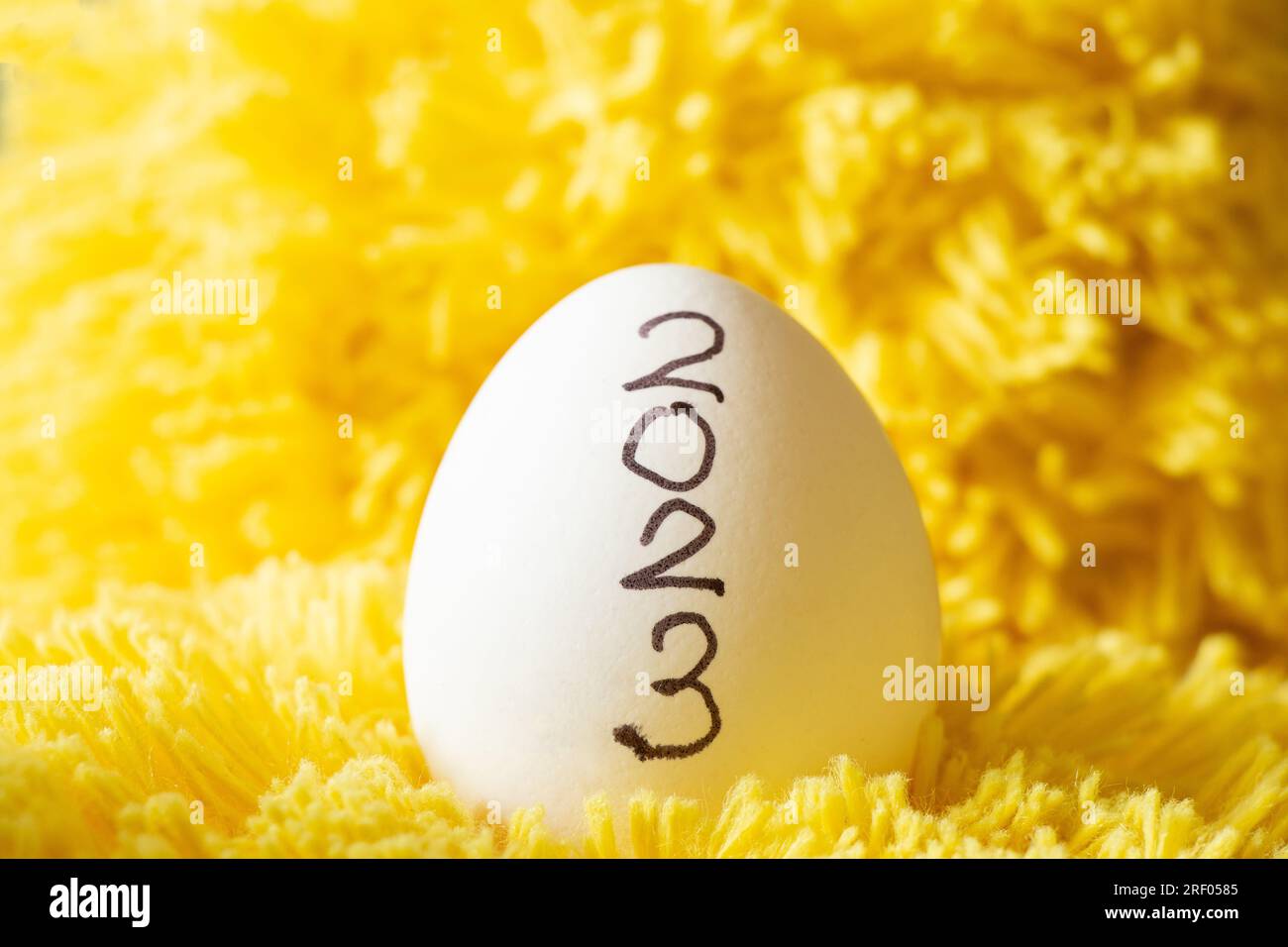 2023 è scritto su un uovo di gallina bianco che si erge su uno sfondo giallo morbido di fili, uovo di gallina Foto Stock