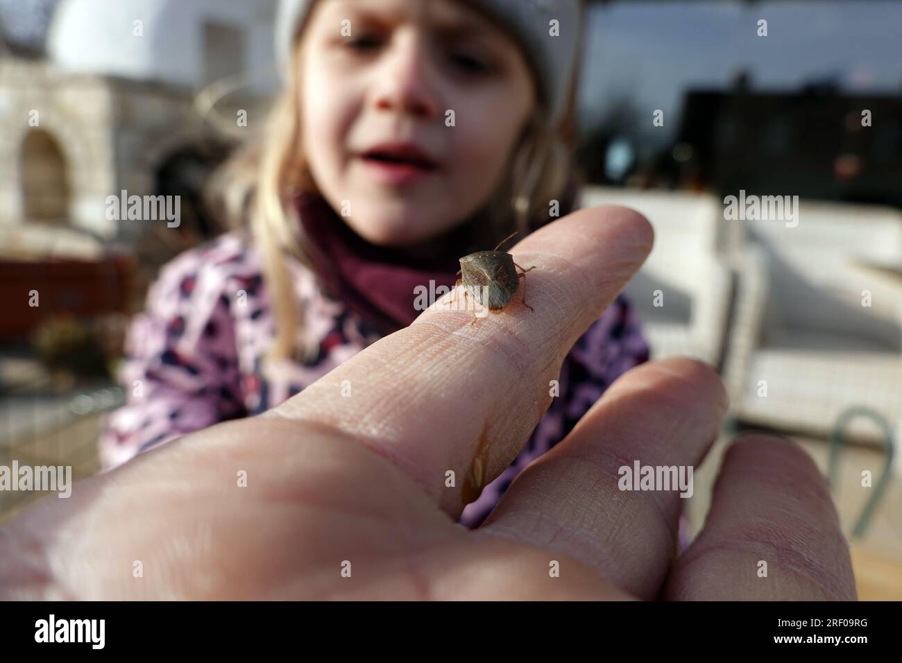 Kleines kind beobachtet eine Wanze auf einem Finger Foto Stock