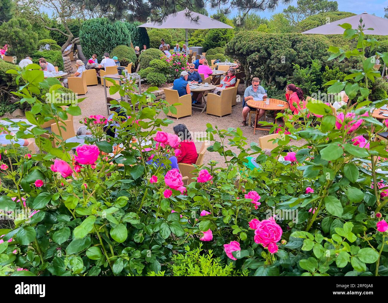 Il ristorante Kaffee Kupferkanne, famoso per le specialità di torta, il 28 giugno 2023 a Kampen, Sylt Island, Germania. © Peter Schatz / Alamy Stock Photos Foto Stock